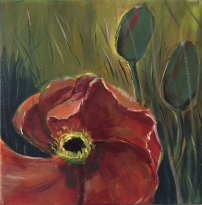 In Flanders Fields1
